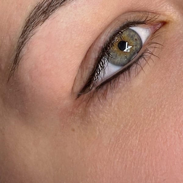Healed Nano Brows and Wing Eyeliner